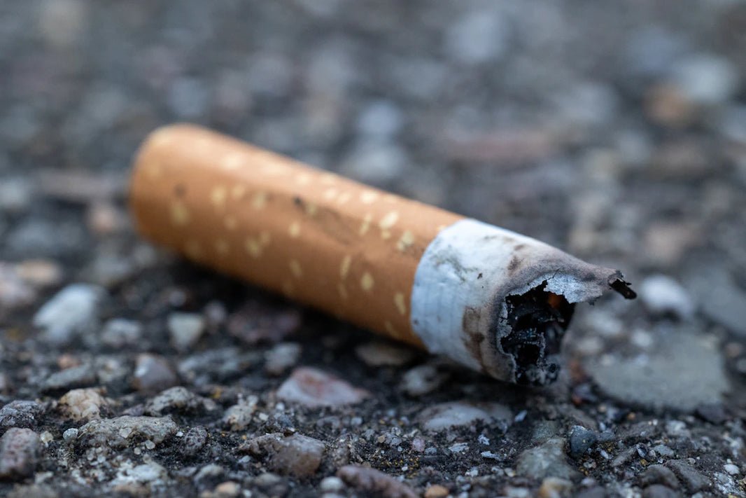 紙タバコとニコパフの健康影響  WHOの見解とは？