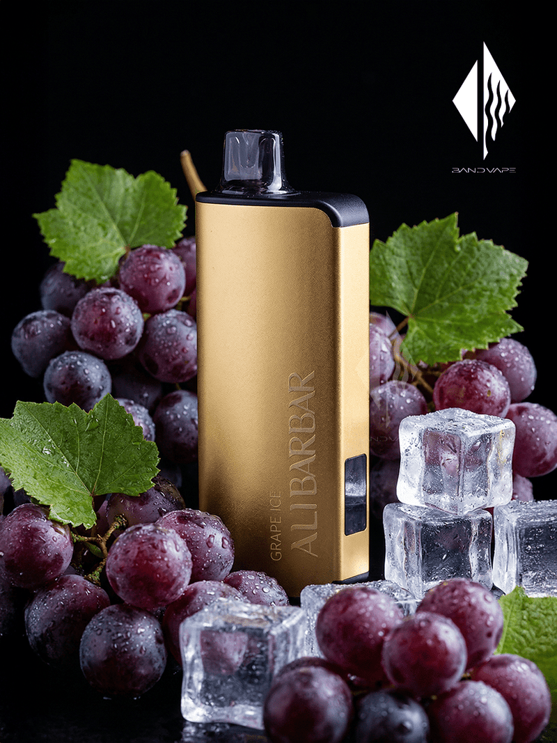 alibarbar 9K グレープアイス味 - BandVape
